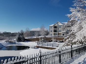 Winter view